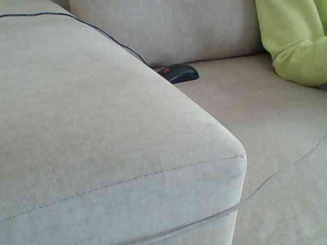 Dollie webcam