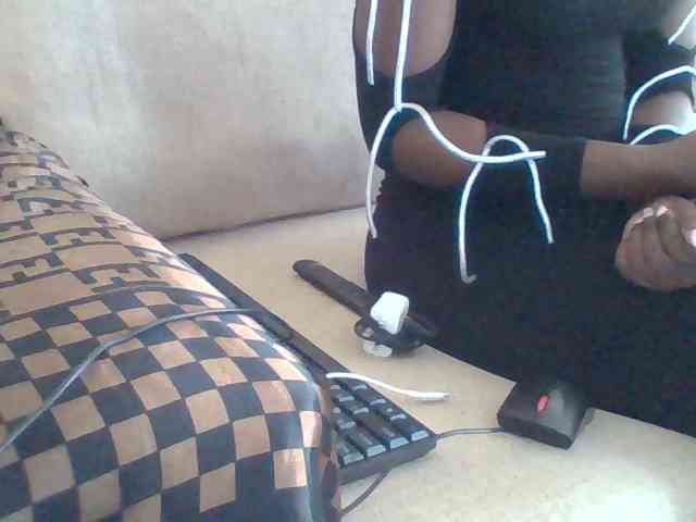 Dollie webcam