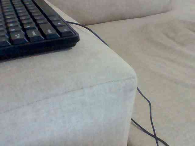 Dollie webcam