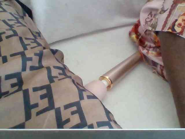 Dollie webcam