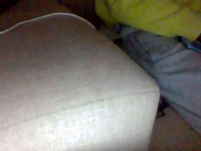 Dollie webcam