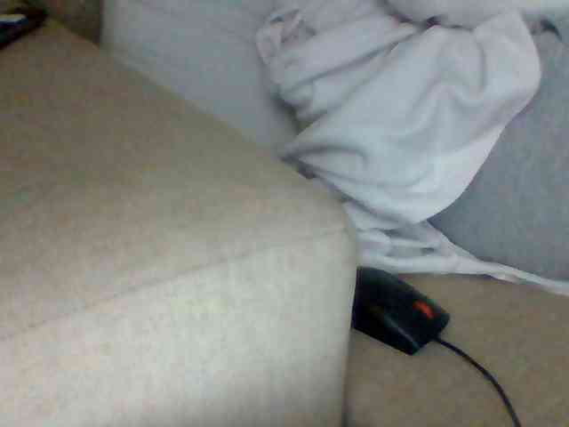 Dollie webcam