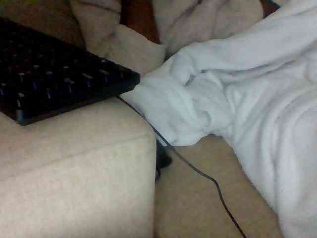 Dollie webcam