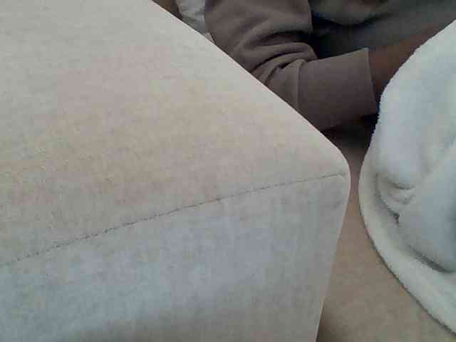 Dollie webcam