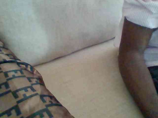 Dollie webcam