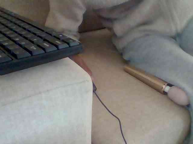Dollie webcam