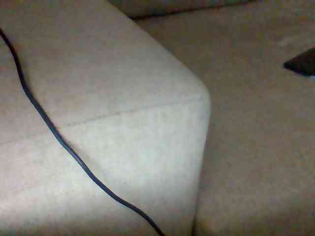Dollie webcam