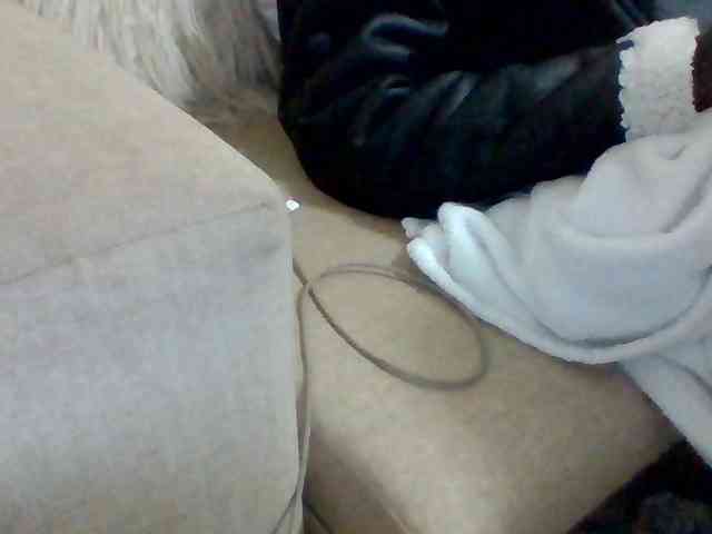 Dollie webcam
