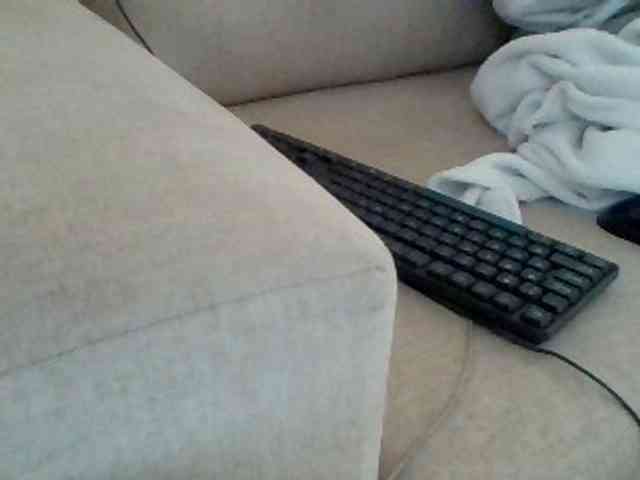 Dollie webcam