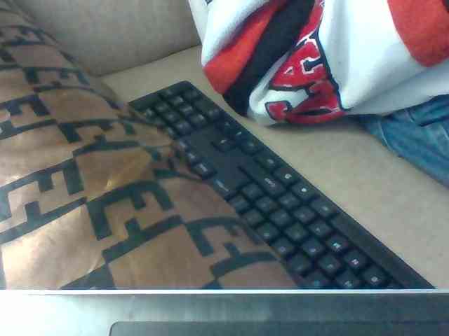 Dollie webcam