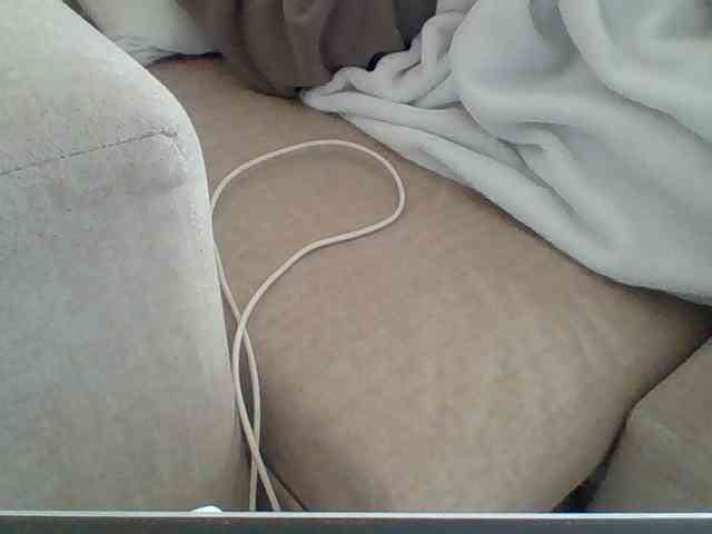 Dollie webcam