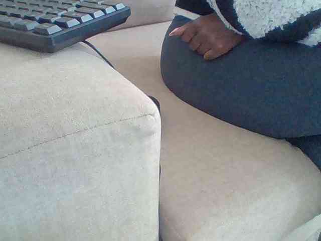 Dollie webcam