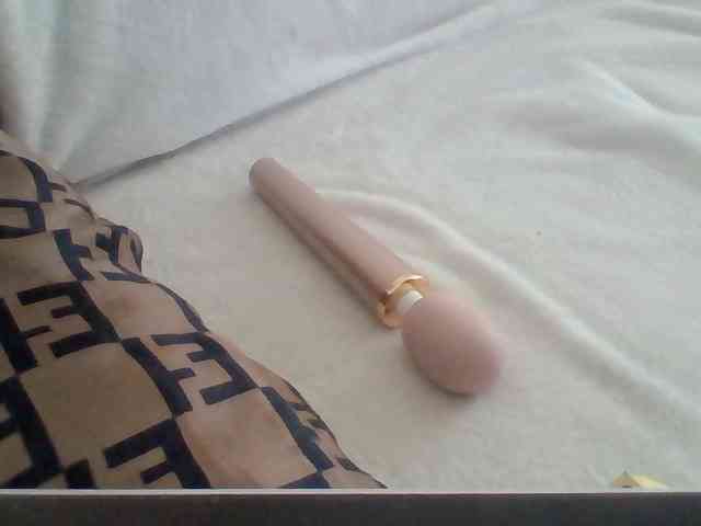 Dollie webcam