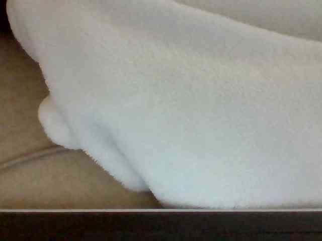 Dollie webcam