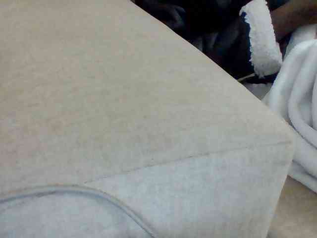 Dollie webcam