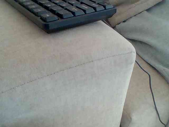 Dollie webcam
