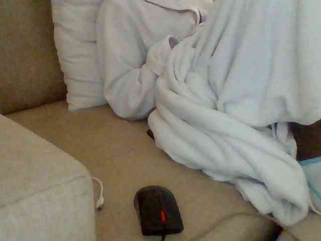Dollie webcam