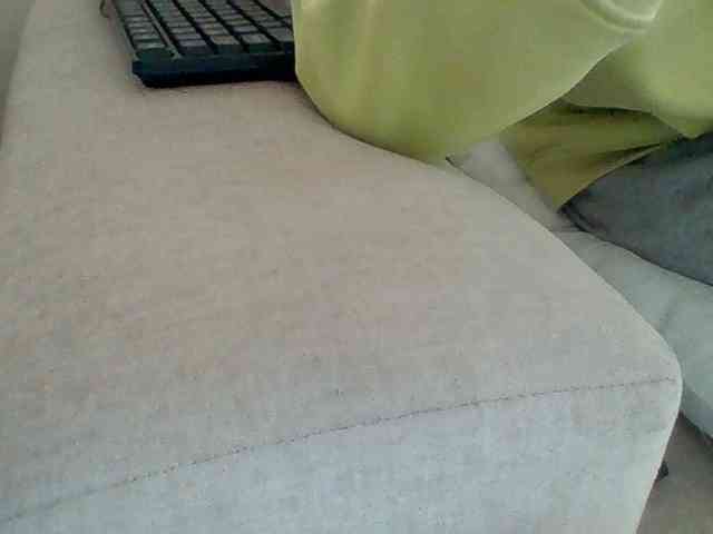 Dollie webcam
