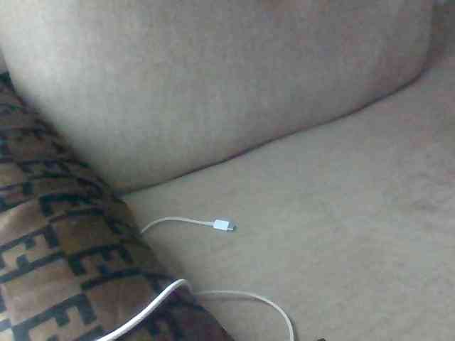 Dollie webcam