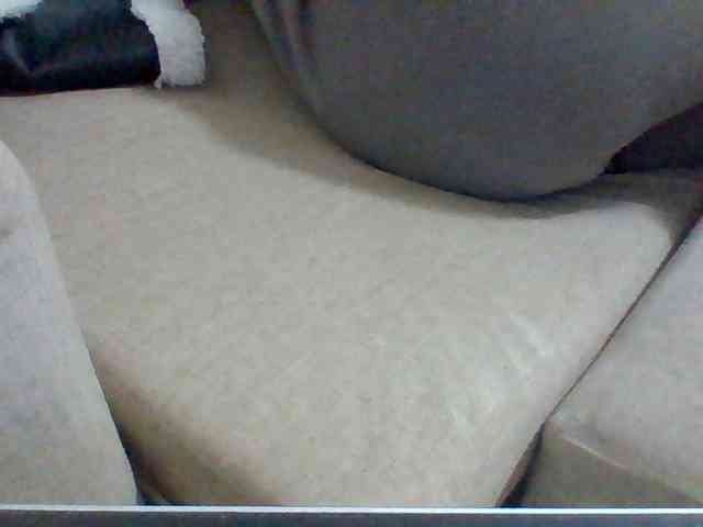 Dollie webcam
