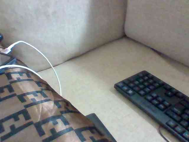 Dollie webcam