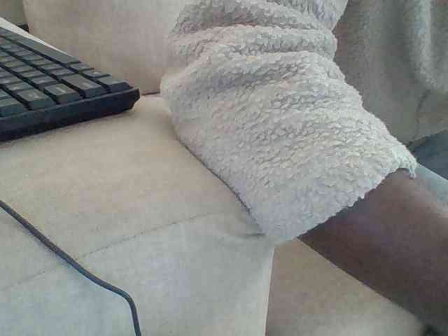 Dollie webcam