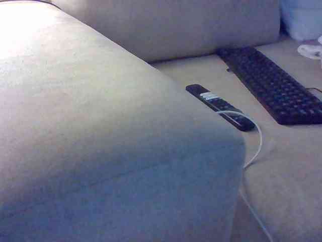 Dollie webcam