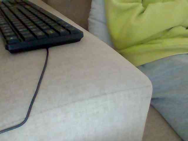 Dollie webcam