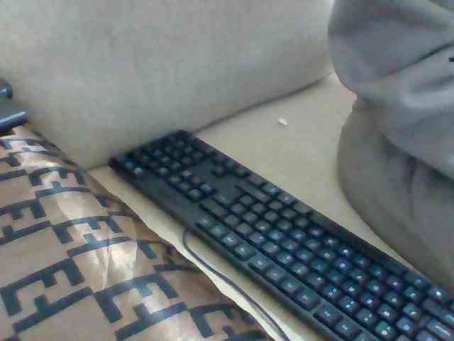 Dollie webcam