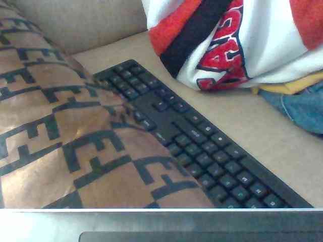 Dollie webcam