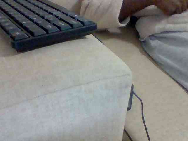 Dollie webcam