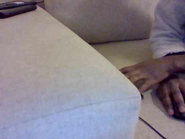 Dollie webcam