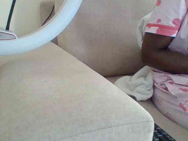 Dollie webcam