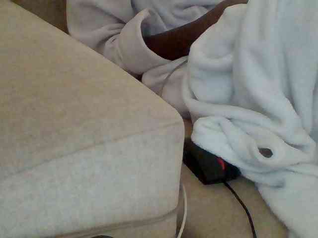 Dollie webcam