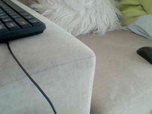 Dollie webcam