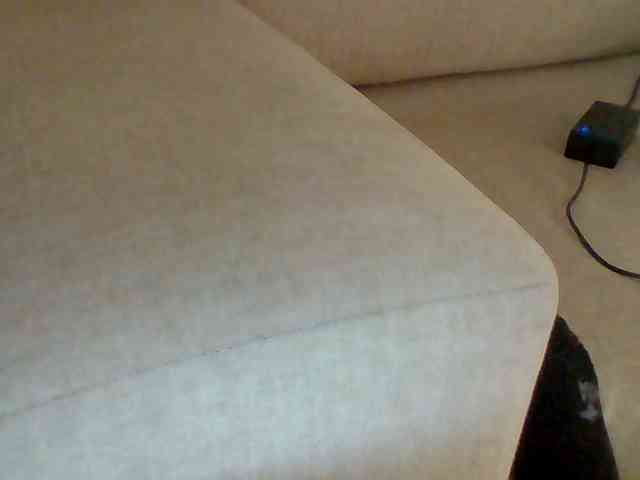 Dollie webcam