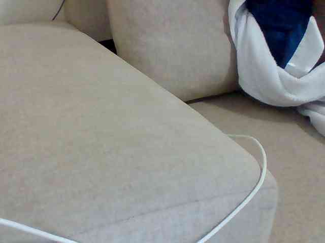 Dollie webcam