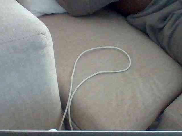 Dollie webcam
