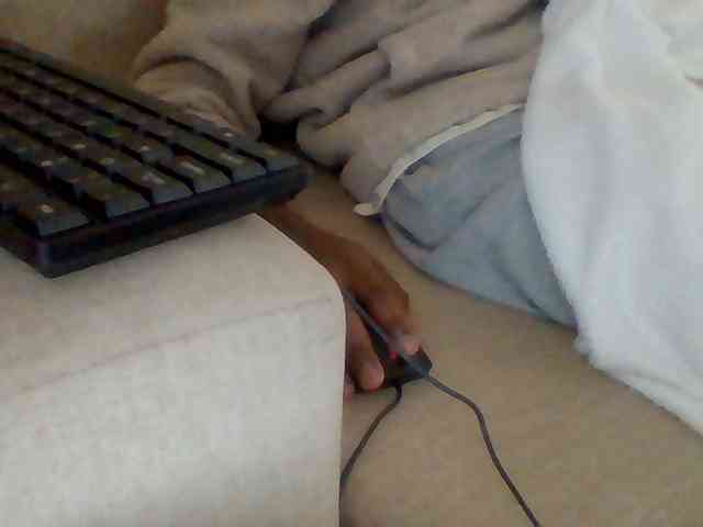 Dollie webcam