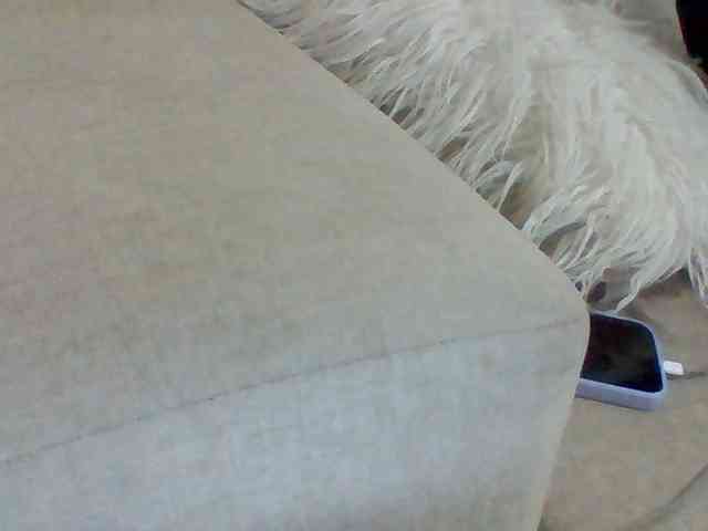 Dollie webcam