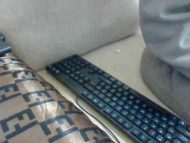 Dollie webcam