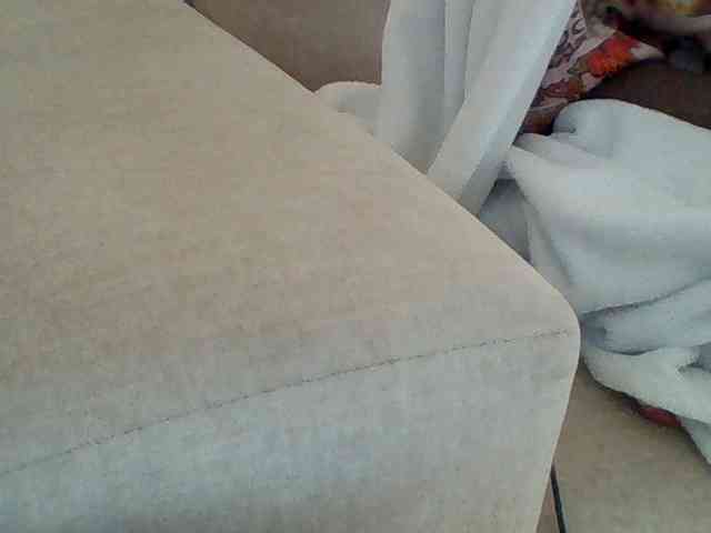 Dollie webcam