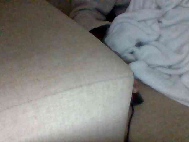 Dollie webcam
