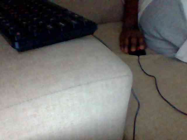 Dollie webcam