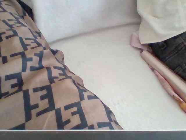 Dollie webcam