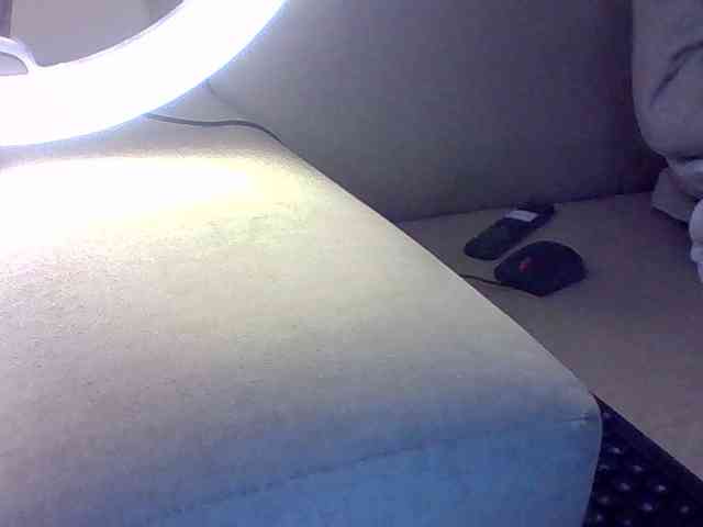 Dollie webcam