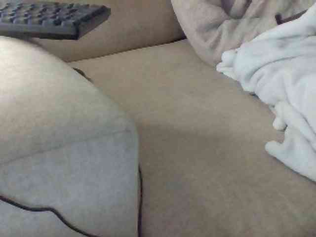 Dollie webcam
