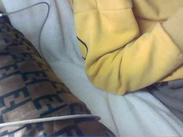 Dollie webcam