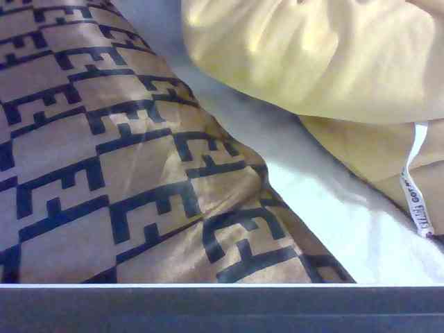 Dollie webcam