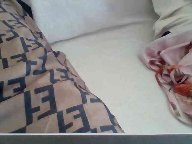 Dollie webcam